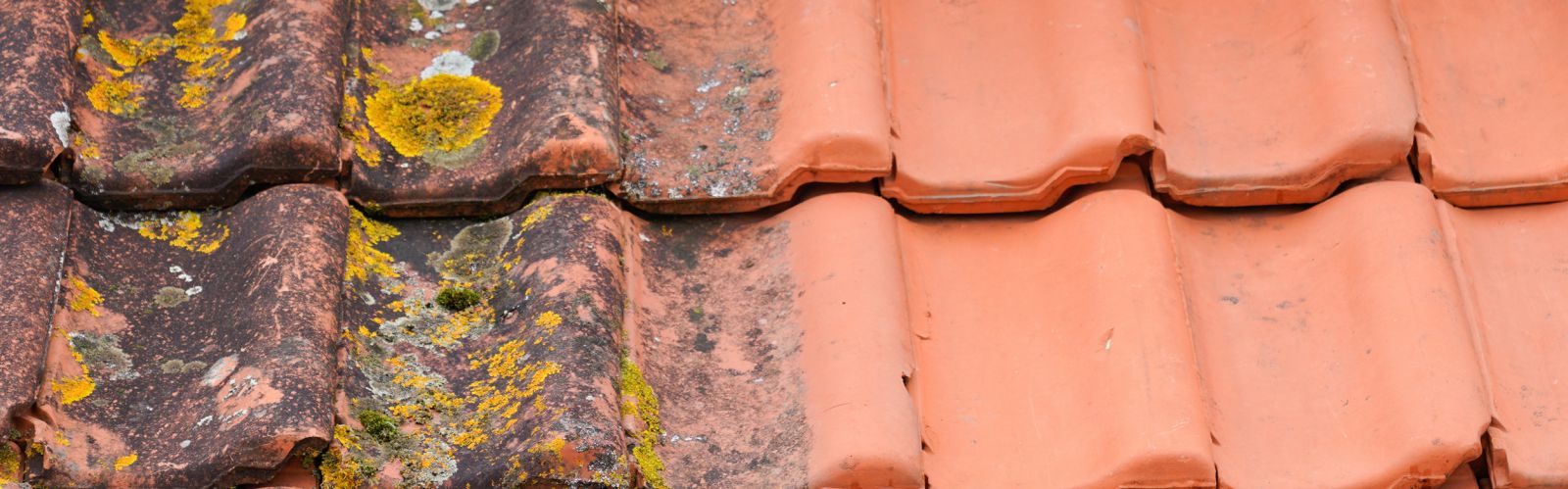 Nettoyage Toiture Amiens