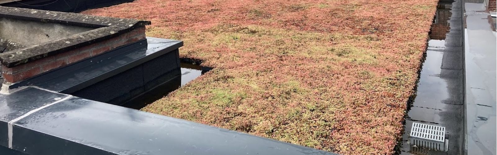 Entretien de Toit Plat pour Locaux Commerciaux et Bâtiments Industriels